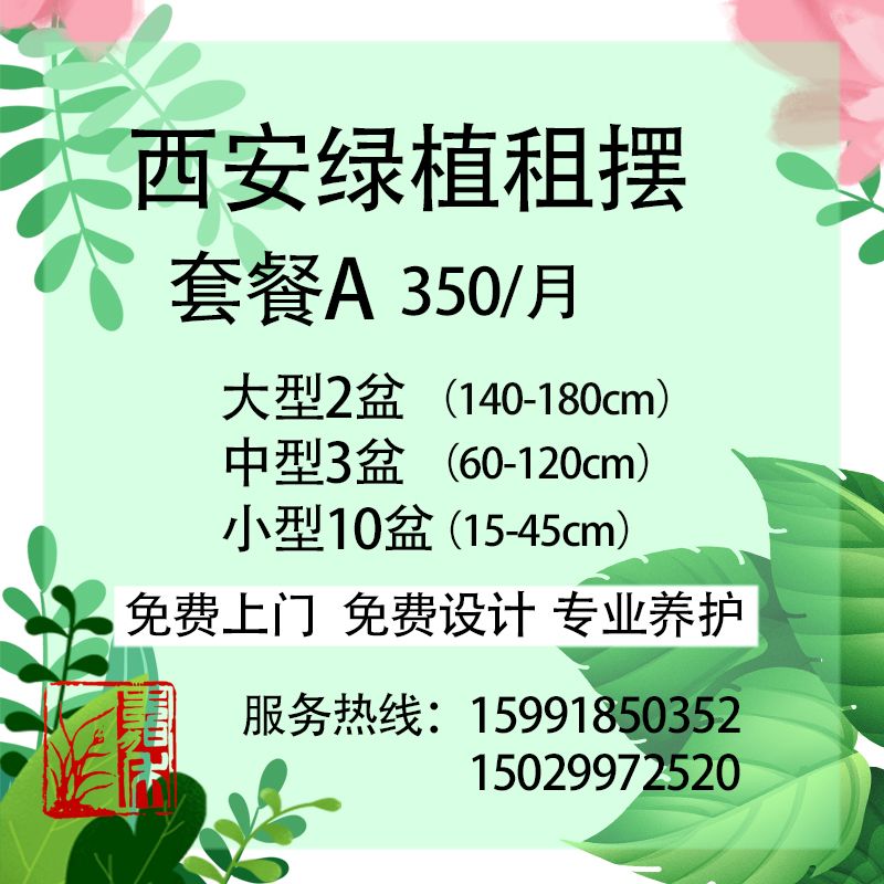 西安花卉、綠植租擺套餐