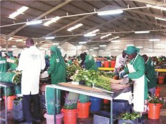 &ldquo;園藝旅游&rdquo;或成全球農業旅游新趨勢