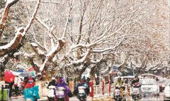 抓好冬護(hù)時機(jī)園林植物可全年健壯