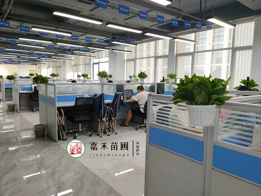 西安辦公室綠植花卉租擺植物有哪些？