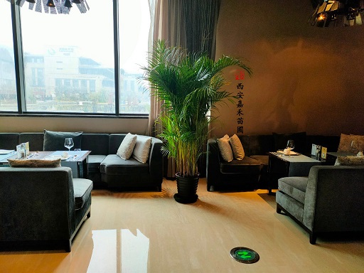 西安辦公室綠植價格明細表|西安嘉禾苗圃