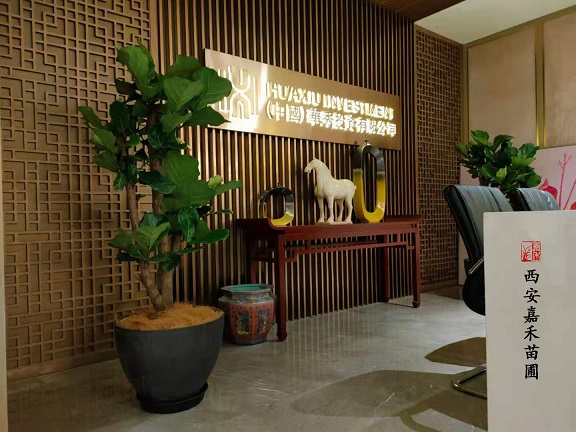 西安辦公室綠植租擺怎么放，才能凸顯大氣格調