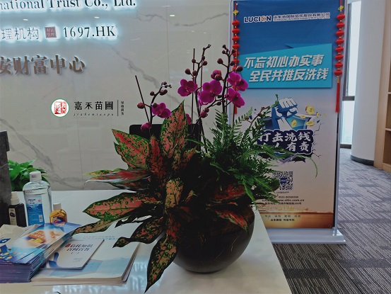 辦公室租賃綠植改善員工幸福指數(shù)！