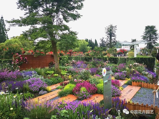 花境設(shè)計|西安嘉禾苗圃