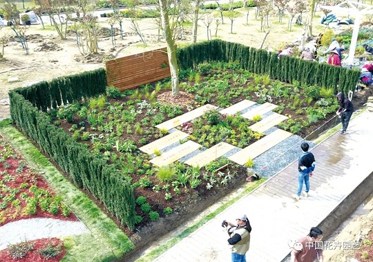 花境設(shè)計施工|西安嘉禾苗圃