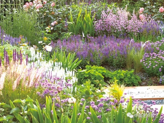 花境設(shè)計施工|西安嘉禾苗圃