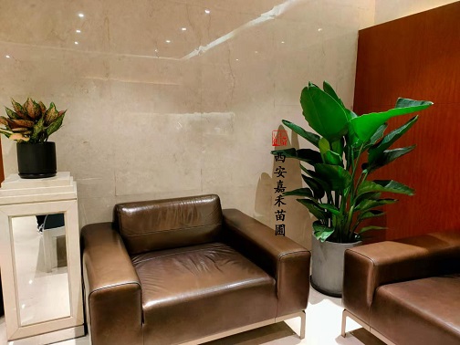 辦公室綠植租賃怎么擺放才能增加運(yùn)勢？