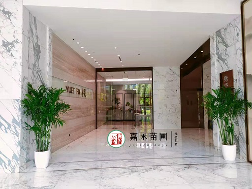 花卉綠植租賃公司提供的養(yǎng)護(hù)和維護(hù)服務(wù)是否包括植物的翻新和更換？