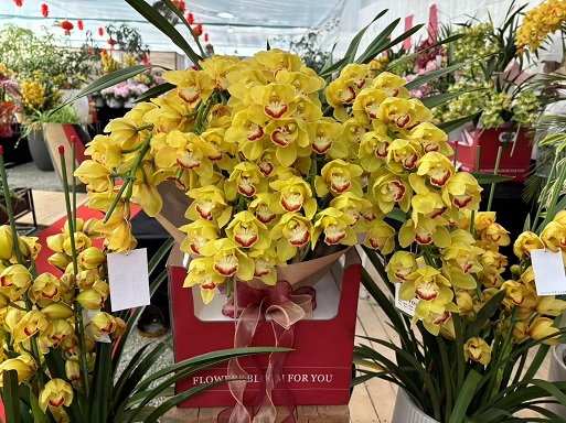 西安花卉租賃 | 2024年宵花的魅力與寓意