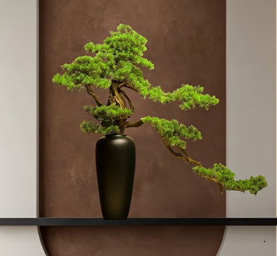 松樹盆景養護注意事項