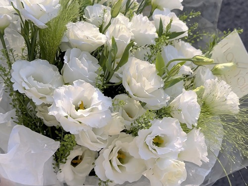 西安嘉禾苗圃 西安嘉禾苗圃